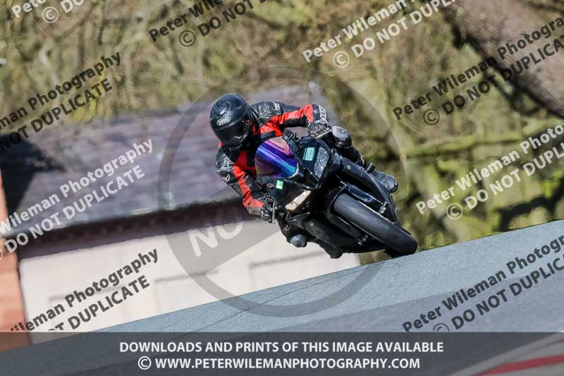 Oulton Park 20th March 2020;PJ Motorsport Photography 2020;anglesey;brands hatch;cadwell park;croft;donington park;enduro digital images;event digital images;eventdigitalimages;mallory;no limits;oulton park;peter wileman photography;racing digital images;silverstone;snetterton;trackday digital images;trackday photos;vmcc banbury run;welsh 2 day enduro